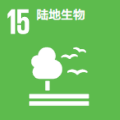 SDGs 15